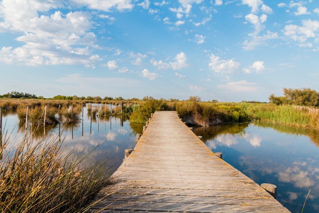 Camargue